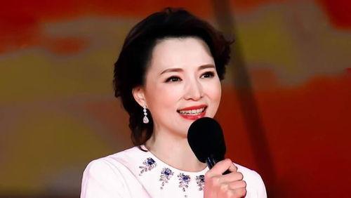 平安爆料董卿视频全集,平安爆料背后的真相与内幕